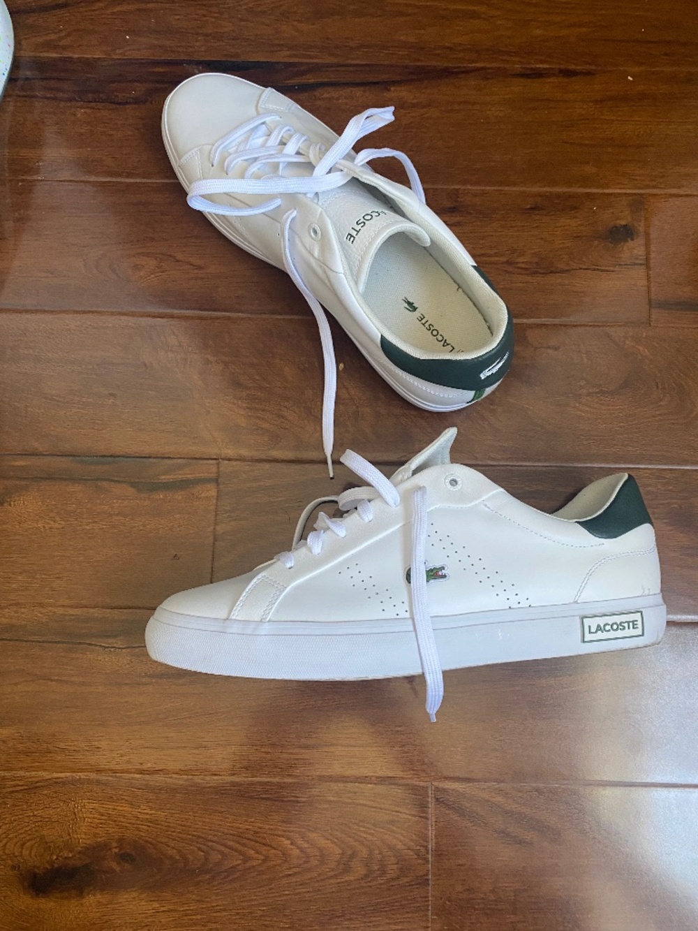Lacoste Mens Shoes